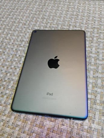 ipad-mini-5th-generation-big-1