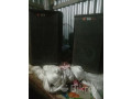 bks-kebinet-bikri-small-0